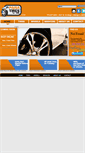 Mobile Screenshot of elpaisatires.com